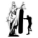 The Steiner Law Firm logo