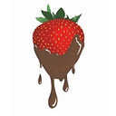 Alaska Berry & Board logo