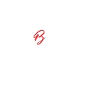 Plan B Print logo