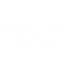 Creative Concepts Landscape Management logo