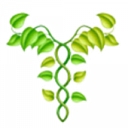 Washington Institute Of Natural Medicine logo