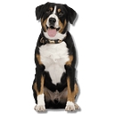 Pet Resorts logo