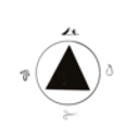 Rino Consulting Solutions logo