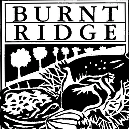 burntridgenursery.com favicon