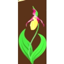 Flowers & Such logo