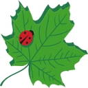 Titan Landscape Services logo