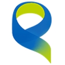 Professional Audio Video Solutions logo