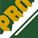 ProLocksmiths logo