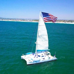 malarkycharters.com favicon