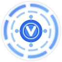 VerityVault logo