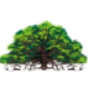 Oak Branch Landscaping logo