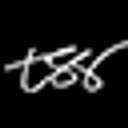 The Style Sample logo