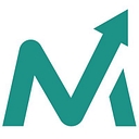 Lead Marketing Strategies logo
