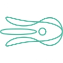 Octolize logo
