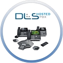 DLS logo