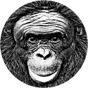 Ape Initiative logo