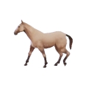 Horse Browser logo