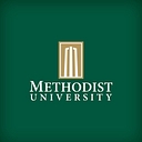 Methodist Online logo