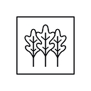 Above the Canopy logo