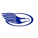 Eagle Health Supplies logo
