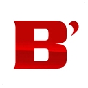 Big B Home Pro logo