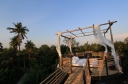 Bangkok Tree House logo