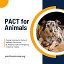 PACT for Animals logo