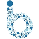 BlueIron IP logo