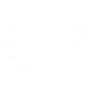 BLEASS SampleWiz 2 logo