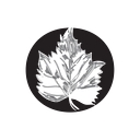 Manometcurrent logo