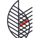 Staghorn NYC (Staghorn NYC Landscape Design) logo