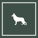 Beyond the Dog Training logo