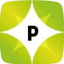 Pyzdek Institute logo