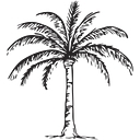 5palmstn logo