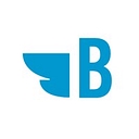 Bluebird Branding logo