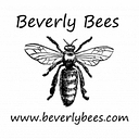 Beverly Bees logo