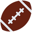 FootballSurvivor.pro logo