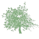 Rose Behavioral Health logo