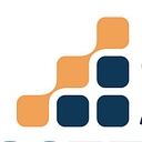 SNF Metrics logo