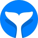 Intempt logo