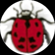 Natural Insect Control logo
