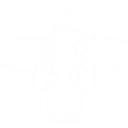Entoplast logo