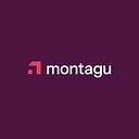Montagu Private Equity logo