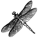 Back to Senses logo