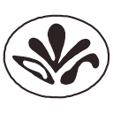 DesignWithShay logo