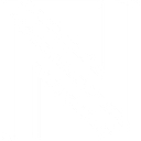 Nichols Strategies logo