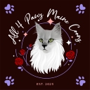 All 4 Paws Maine Coons logo