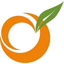 Level343 logo