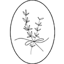 With Thyme Provisions logo