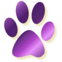 August Maine Coons logo